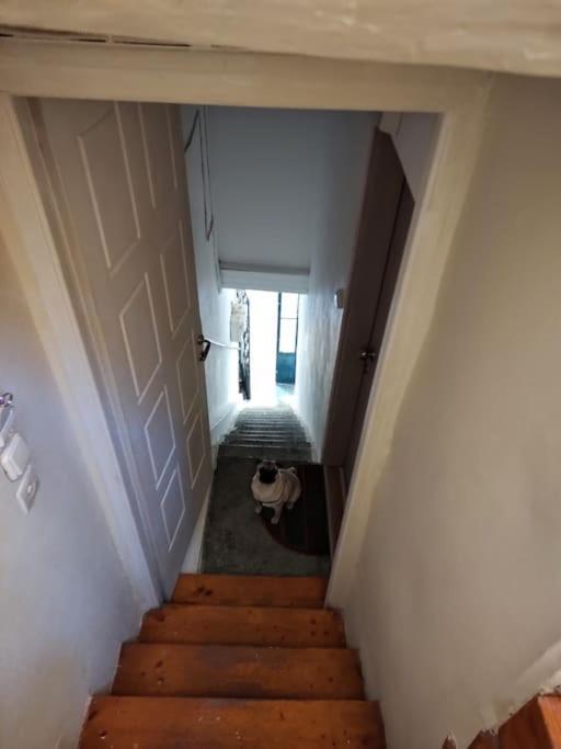 Mary'S Bright Apartment - Corfu Old Town Екстер'єр фото